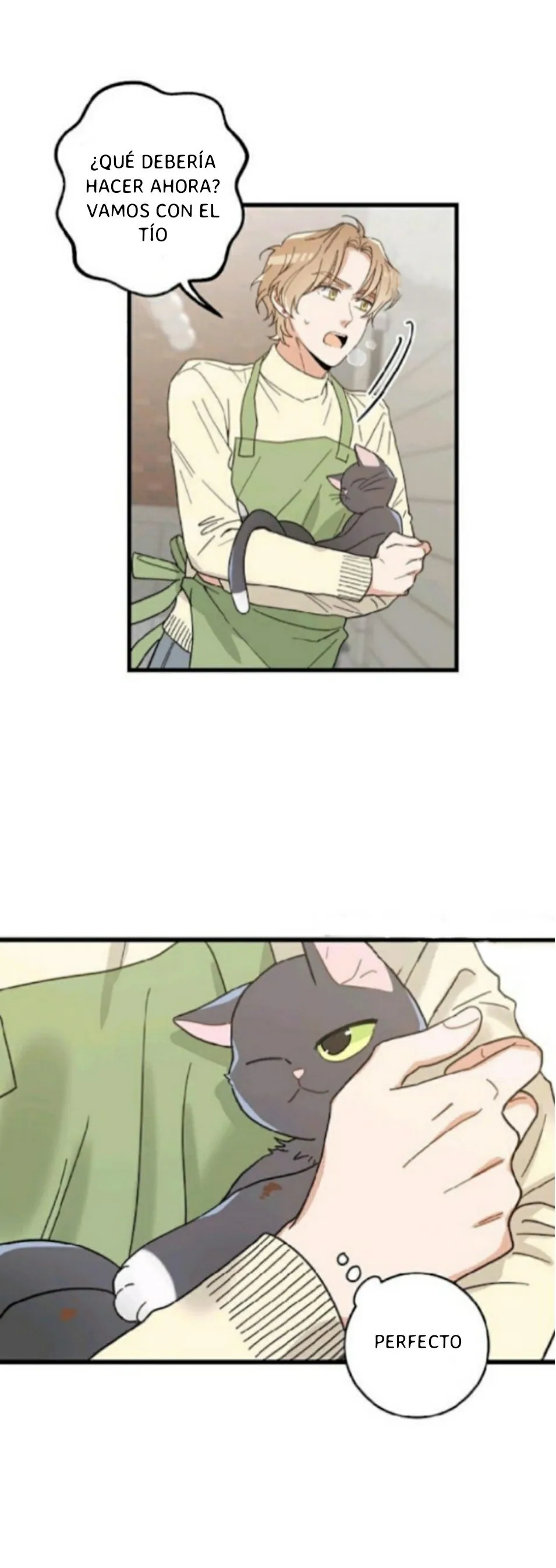 Mi único gato Capítulo 21 en Línea - página 12