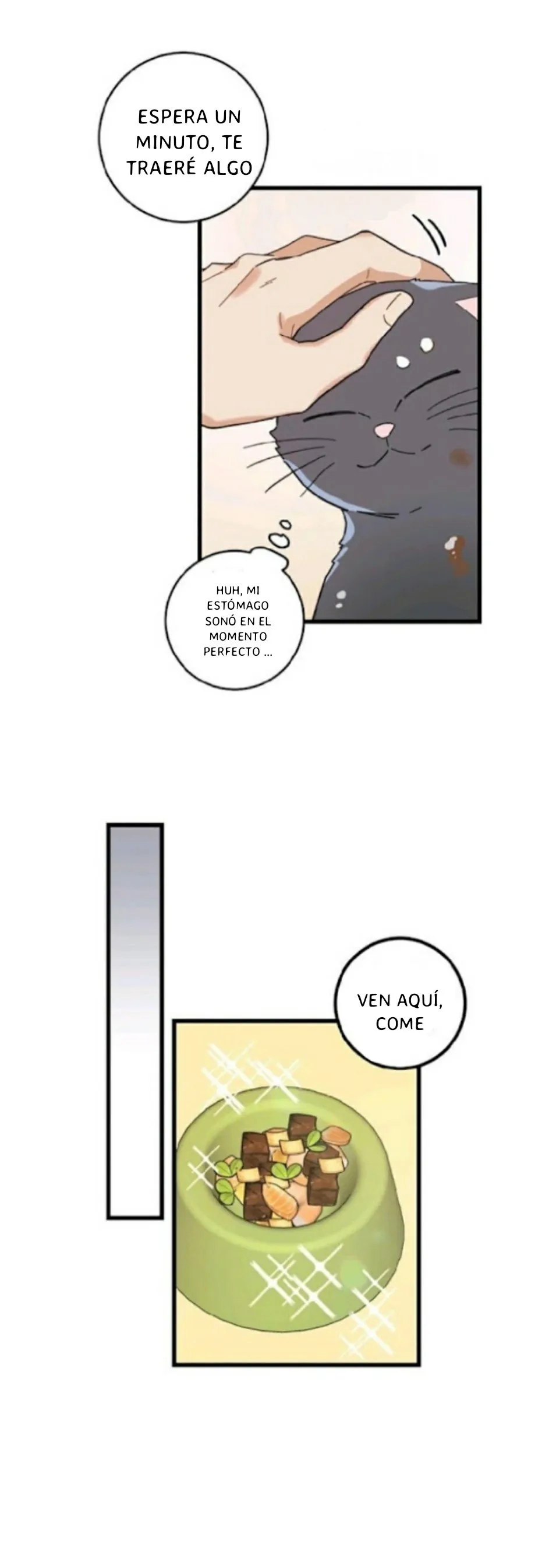 Mi único gato Capítulo 21 en Línea - página 20