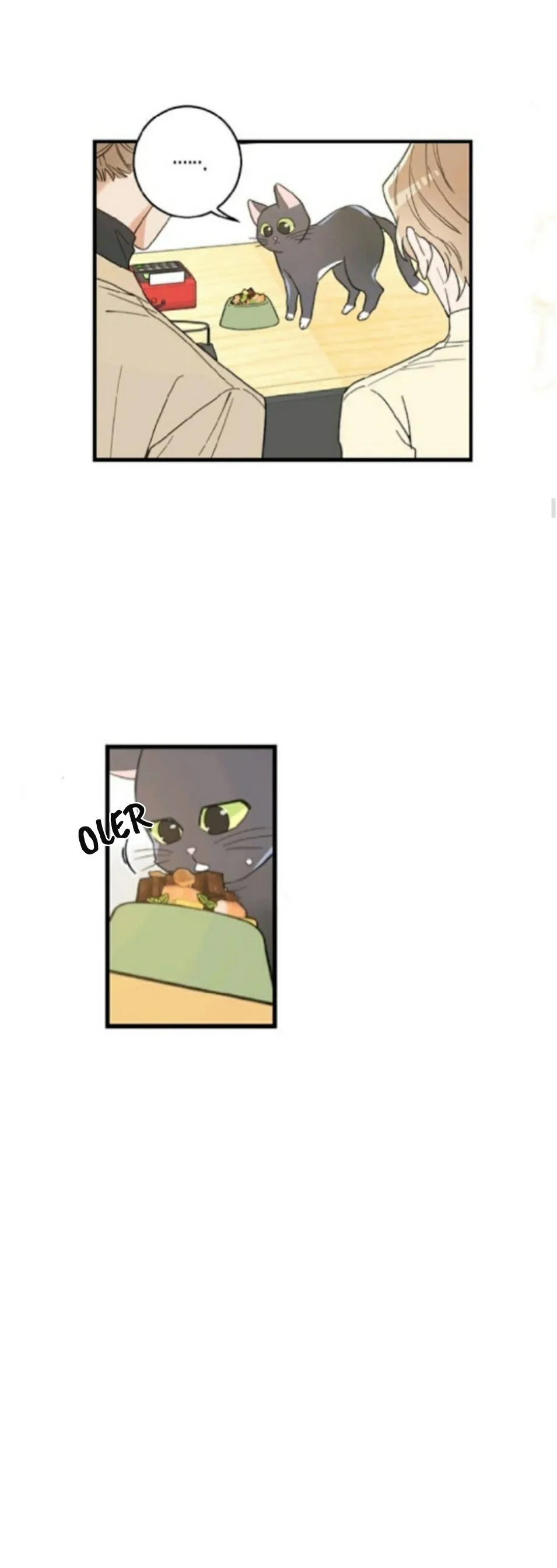Mi único gato Capítulo 21 en Línea - página 21