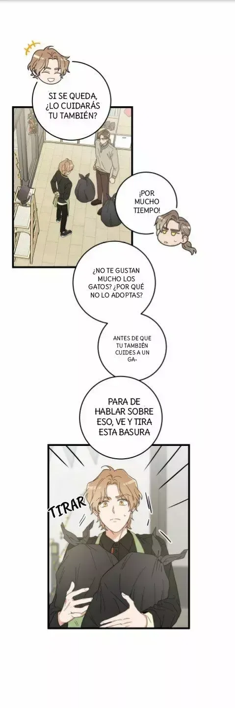 Mi único gato Capítulo 23 en Línea - página 6