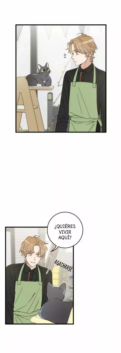Mi único gato Capítulo 23 en Línea - página 8