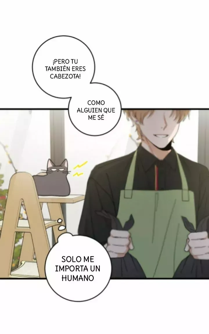 Mi único gato Capítulo 23 en Línea - página 10