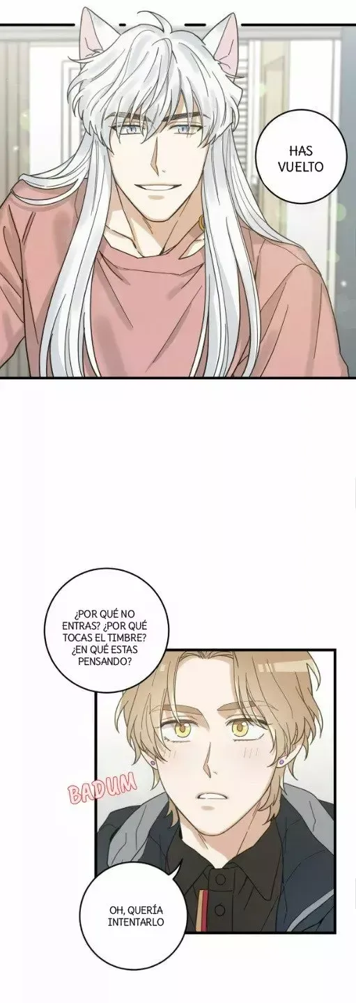 Mi único gato Capítulo 23 en Línea - página 24