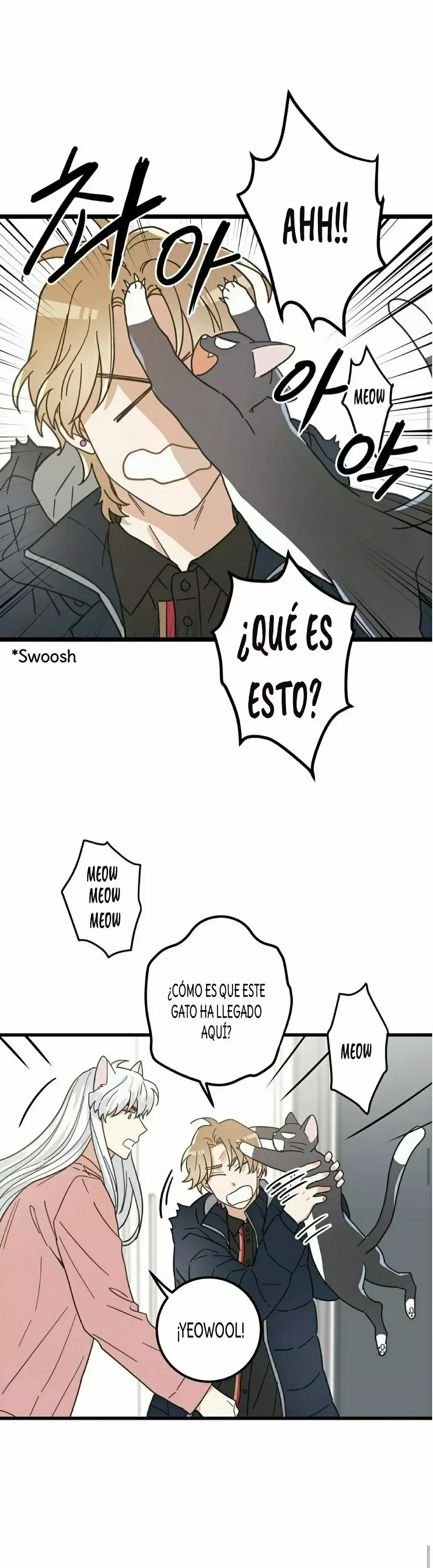 Mi único gato Capítulo 23 en Línea - página 28