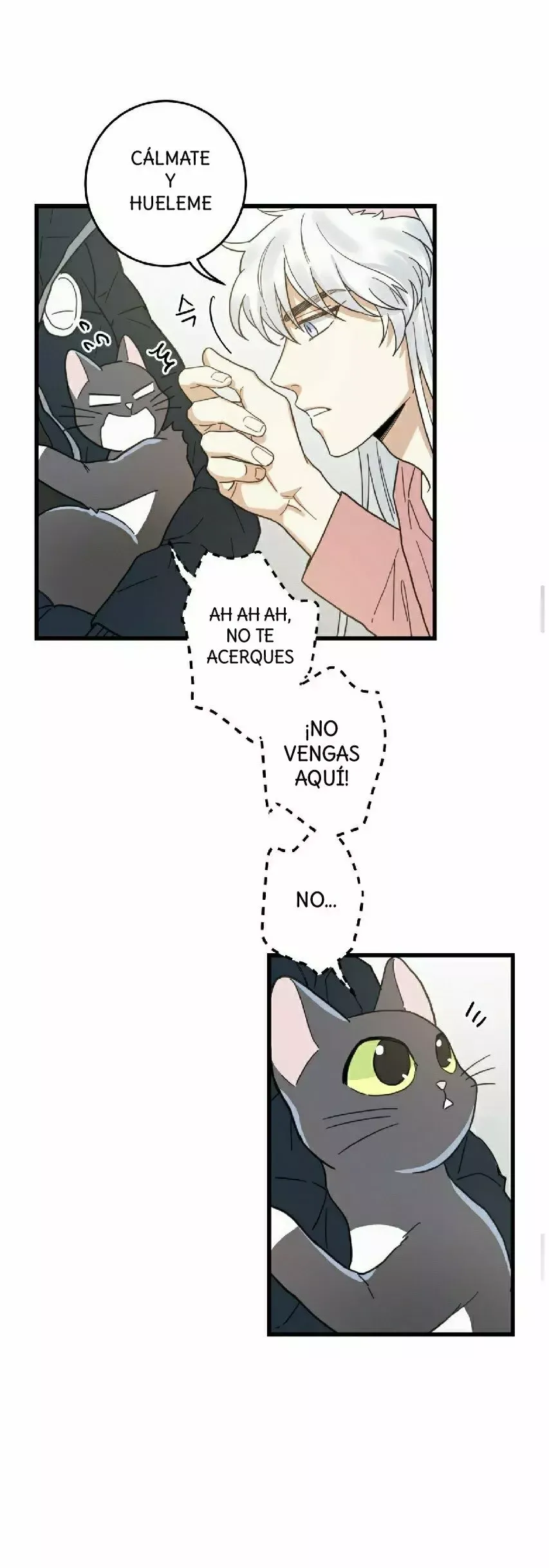 Mi único gato Capítulo 23 en Línea - página 34