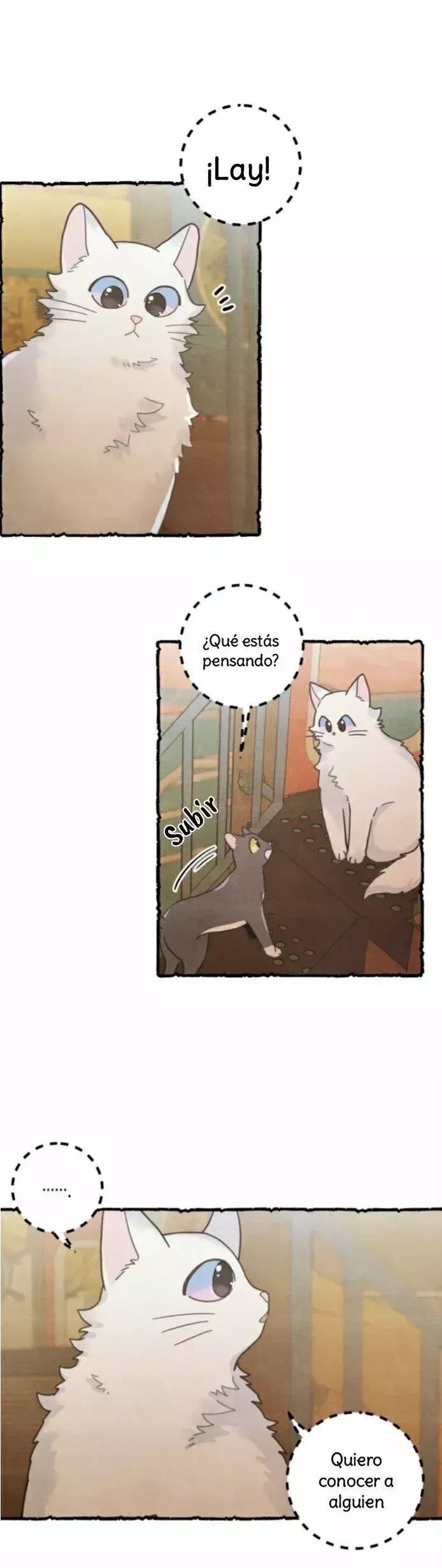 Mi único gato Capítulo 25 en Línea - página 3