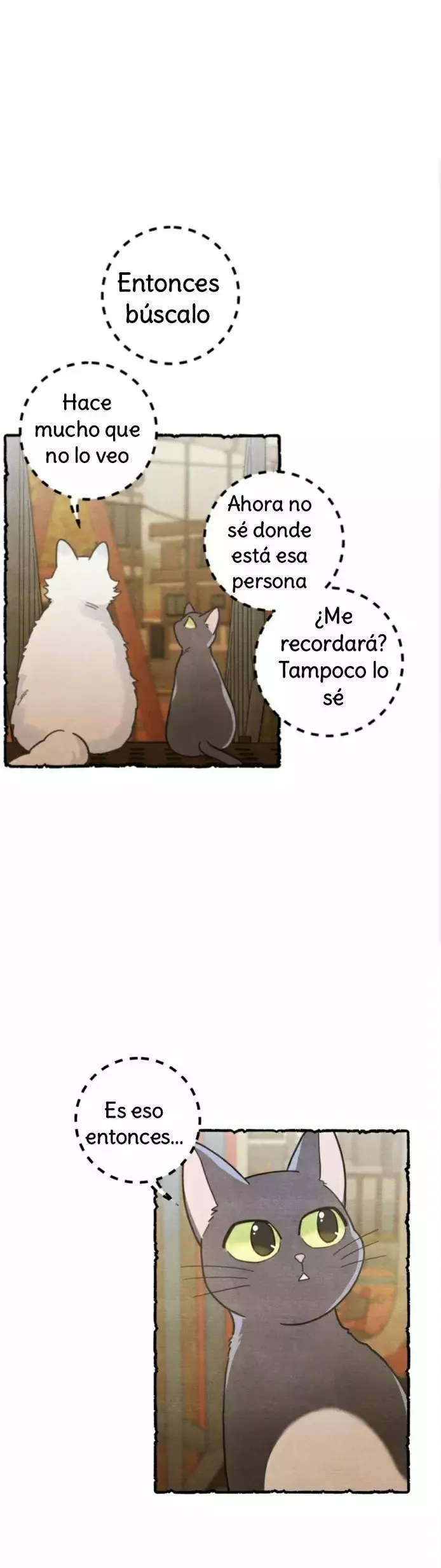 Mi único gato Capítulo 25 en Línea - página 4