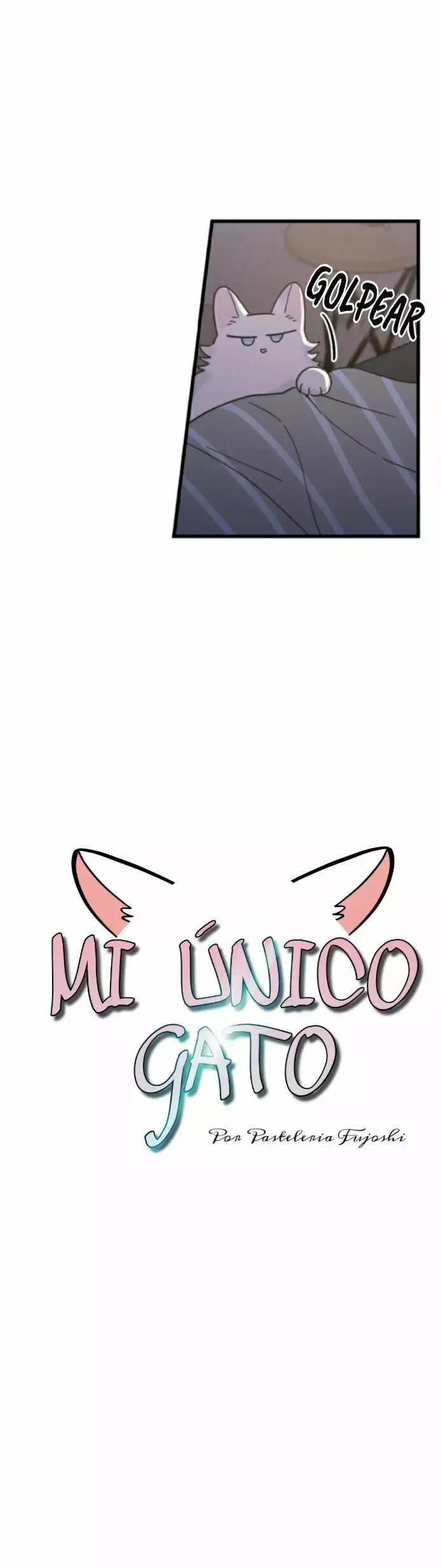 Mi único gato Capítulo 25 en Línea - página 8