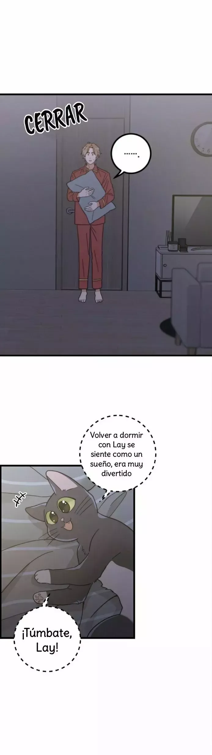 Mi único gato Capítulo 25 en Línea - página 13