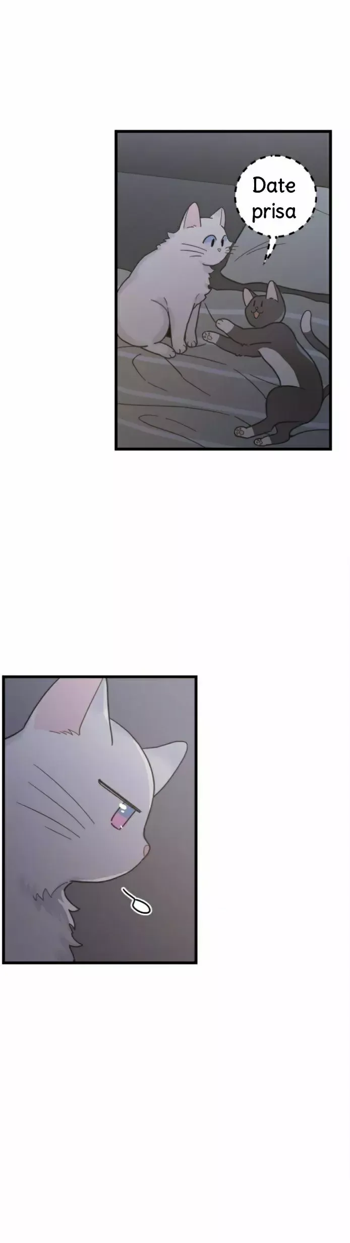 Mi único gato Capítulo 25 en Línea - página 14