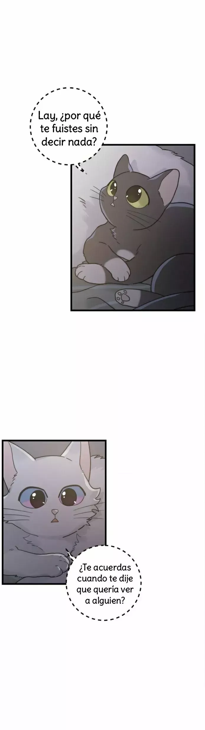 Mi único gato Capítulo 25 en Línea - página 16