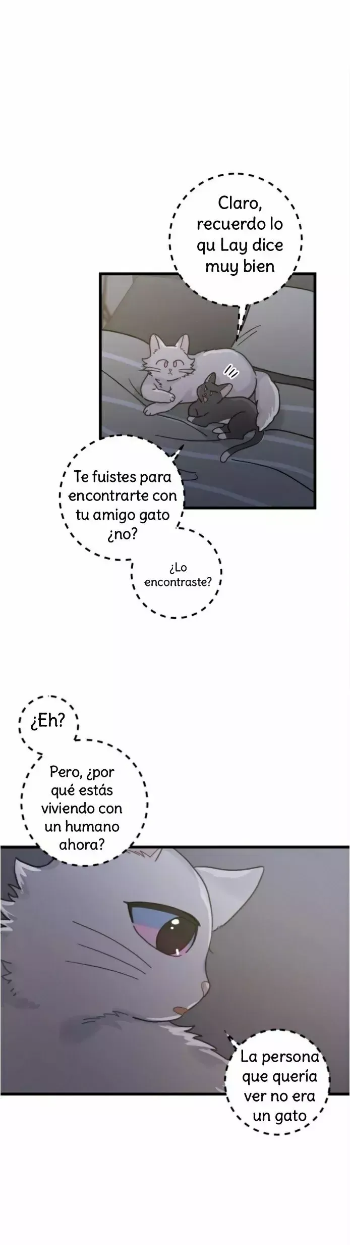Mi único gato Capítulo 25 en Línea - página 17