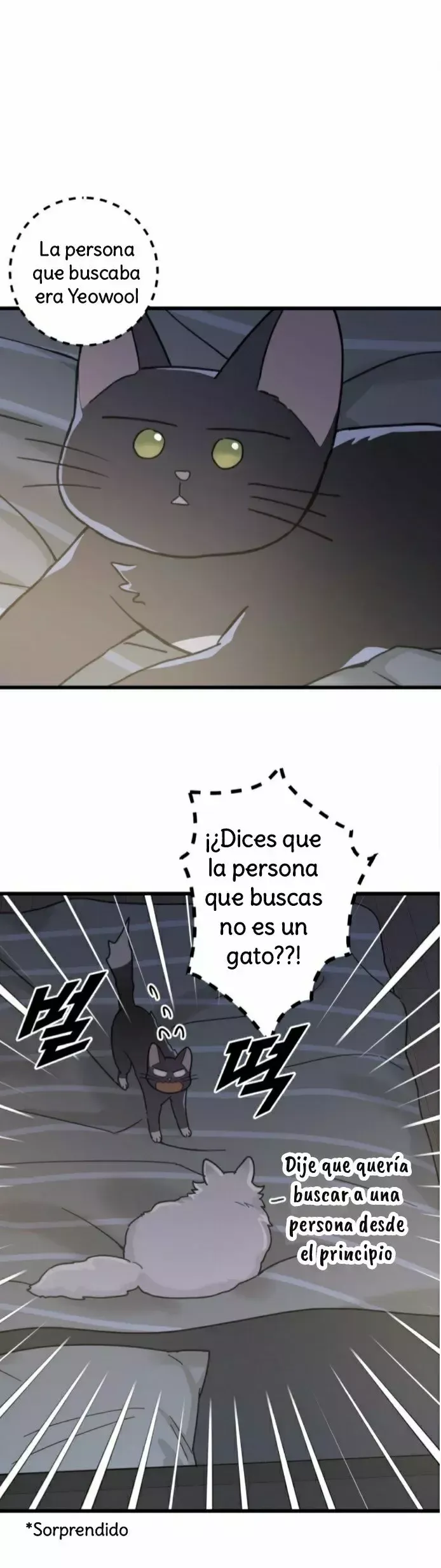 Mi único gato Capítulo 25 en Línea - página 18