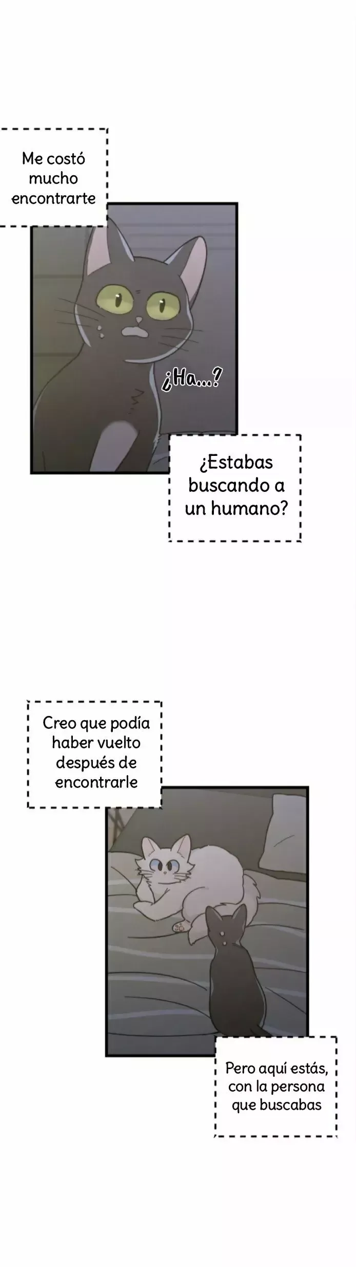 Mi único gato Capítulo 25 en Línea - página 19
