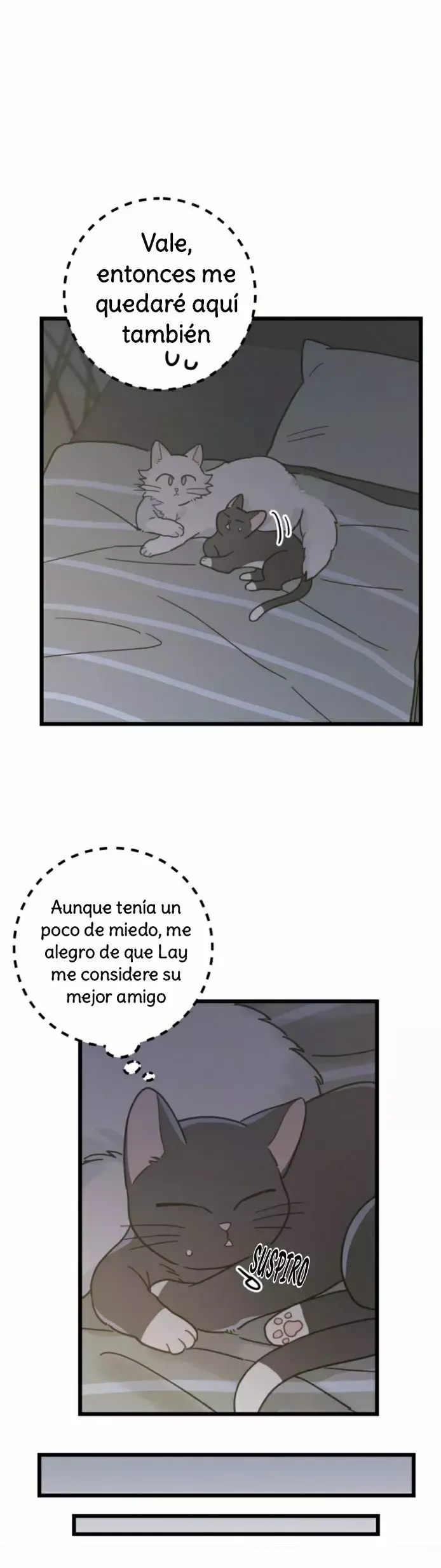 Mi único gato Capítulo 25 en Línea - página 21