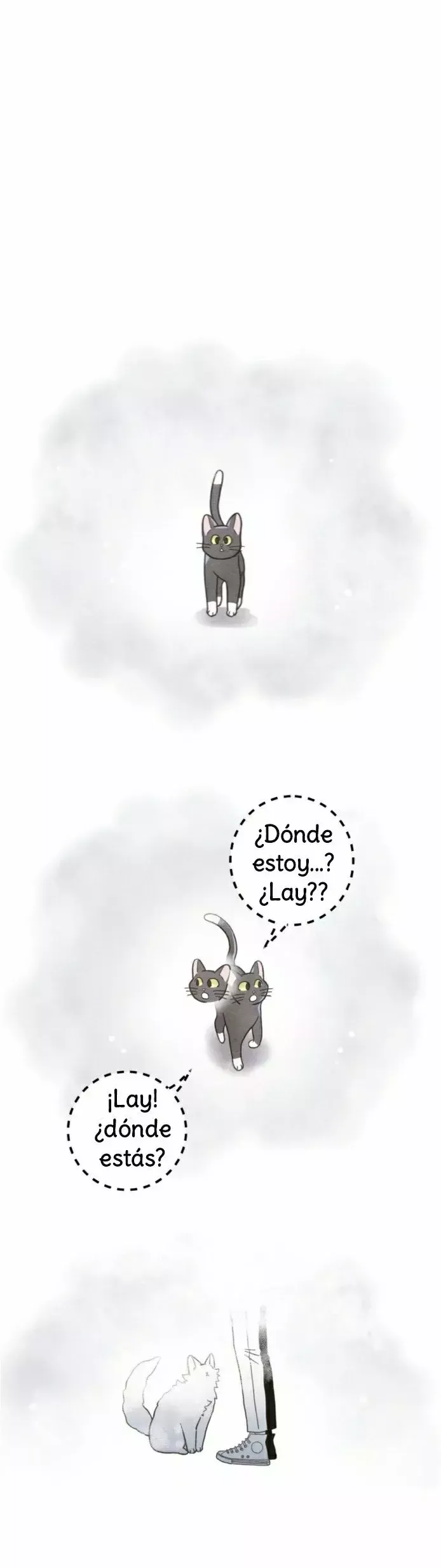 Mi único gato Capítulo 25 en Línea - página 22
