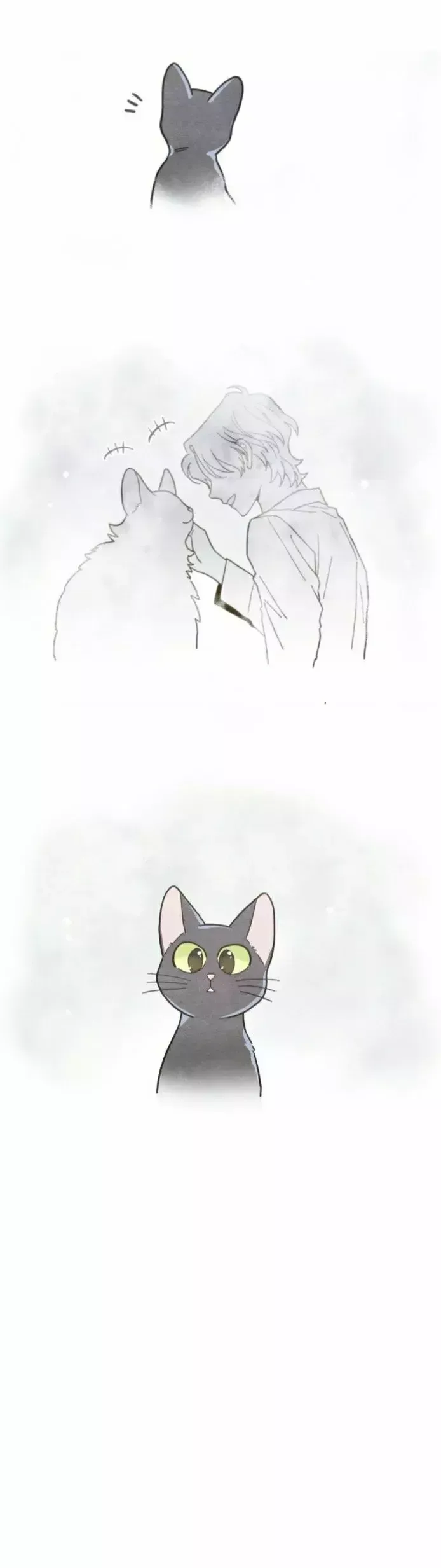 Mi único gato Capítulo 25 en Línea - página 23