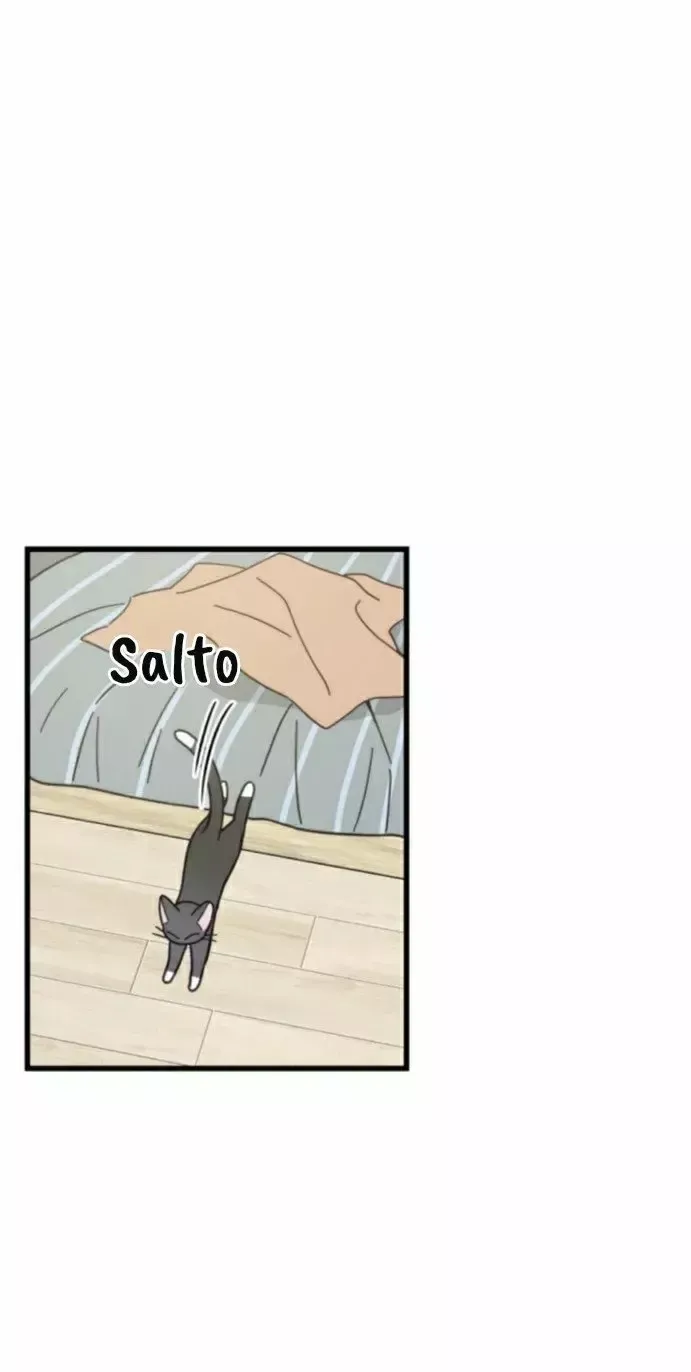 Mi único gato Capítulo 25 en Línea - página 26