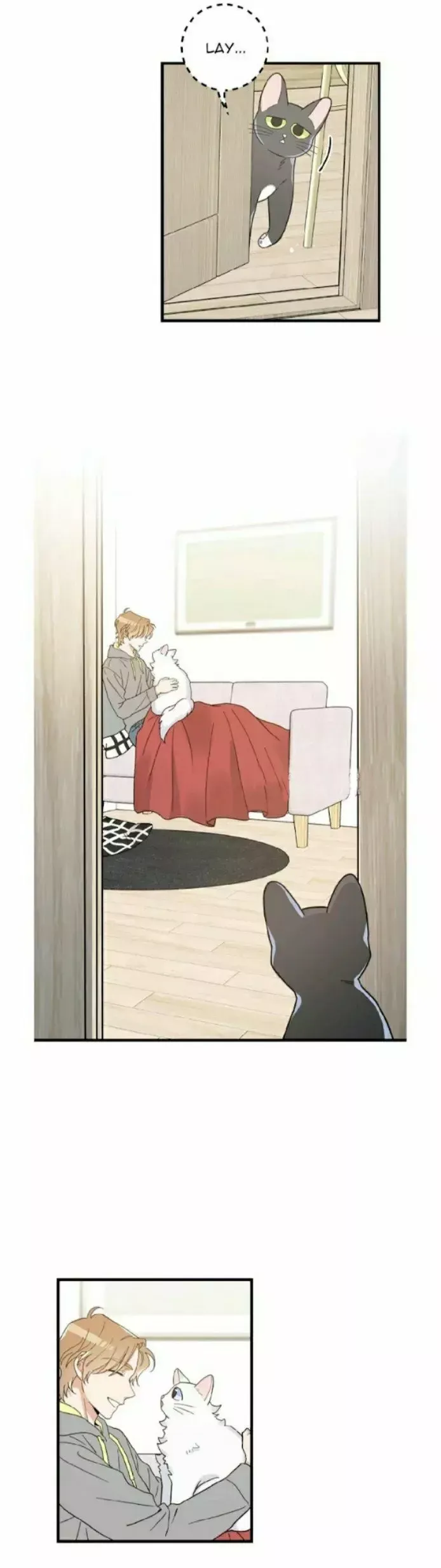 Mi único gato Capítulo 25 en Línea - página 27