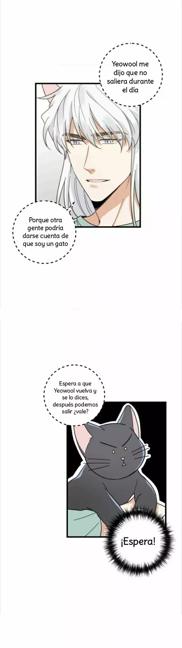 Mi único gato Capítulo 27 en Línea - página 13