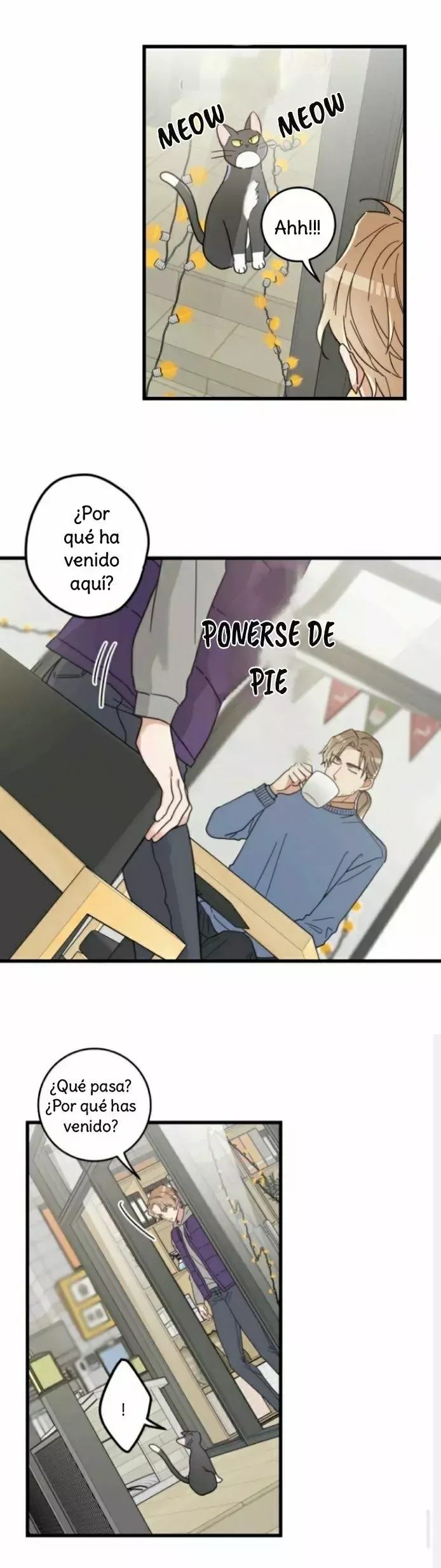 Mi único gato Capítulo 27 en Línea - página 24