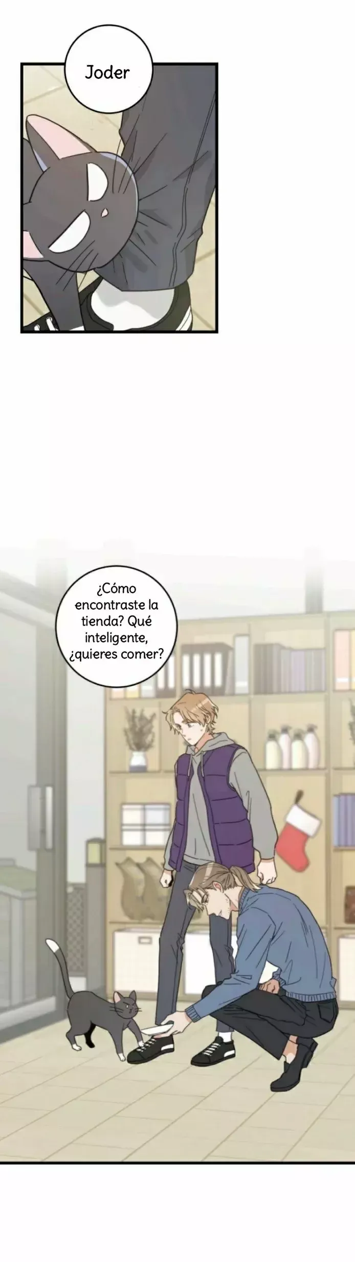 Mi único gato Capítulo 27 en Línea - página 26