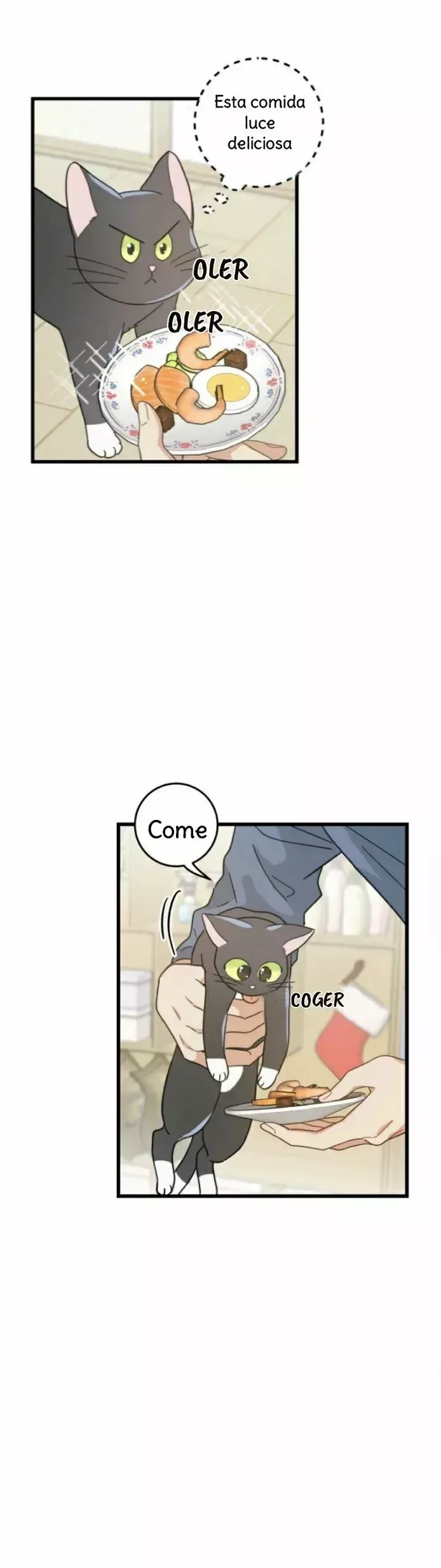 Mi único gato Capítulo 27 en Línea - página 27