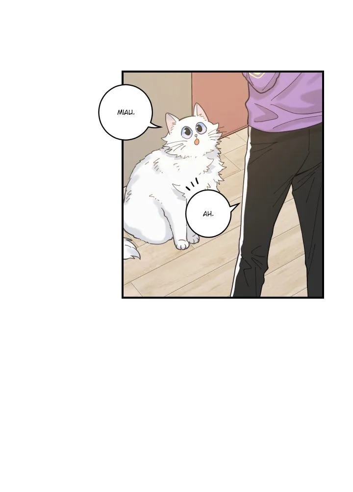 Mi único gato Capítulo 3 en Línea - página 62