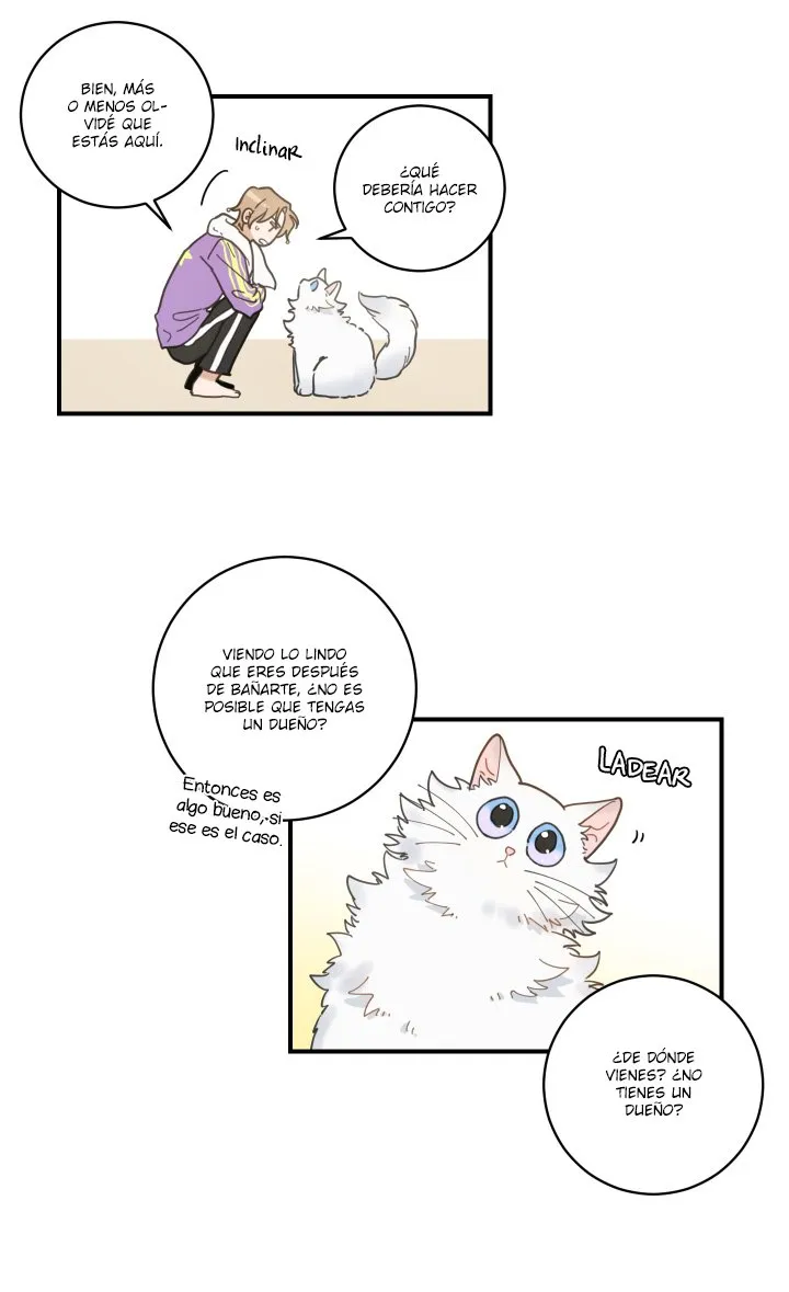 Mi único gato Capítulo 3 en Línea - página 63