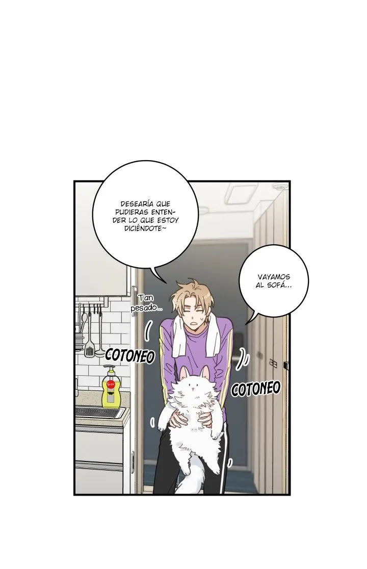 Mi único gato Capítulo 3 en Línea - página 64