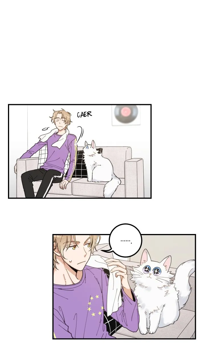 Mi único gato Capítulo 3 en Línea - página 65