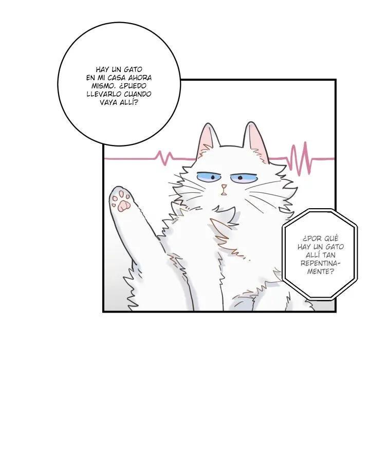 Mi único gato Capítulo 3 en Línea - página 69