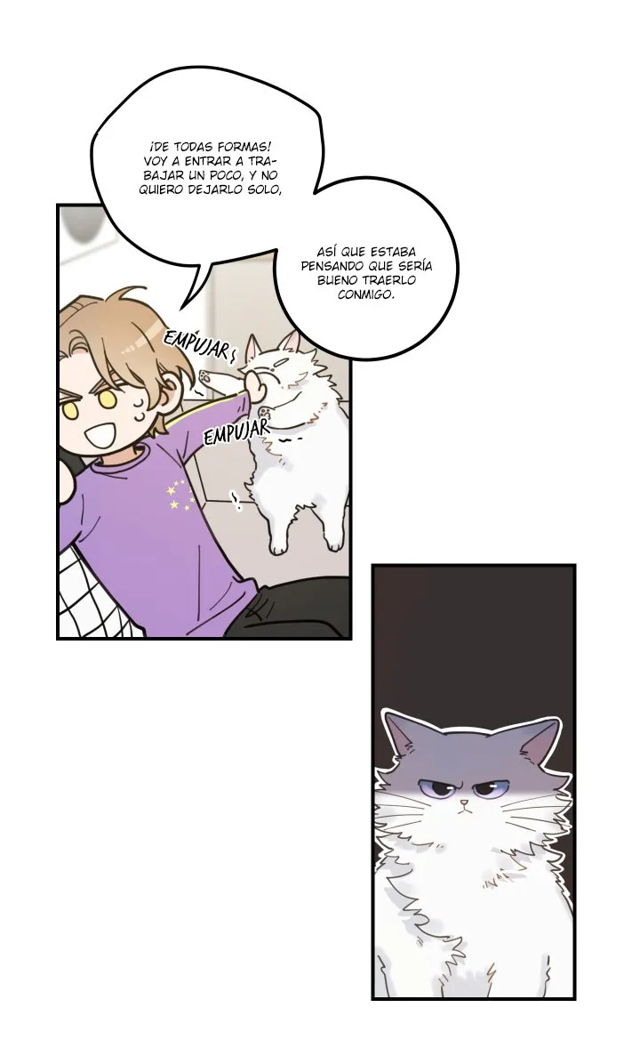 Mi único gato Capítulo 3 en Línea - página 71
