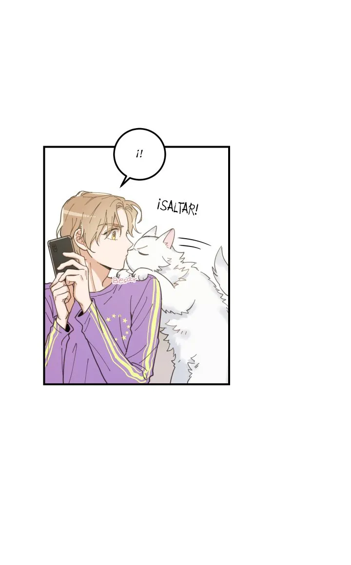 Mi único gato Capítulo 3 en Línea - página 72