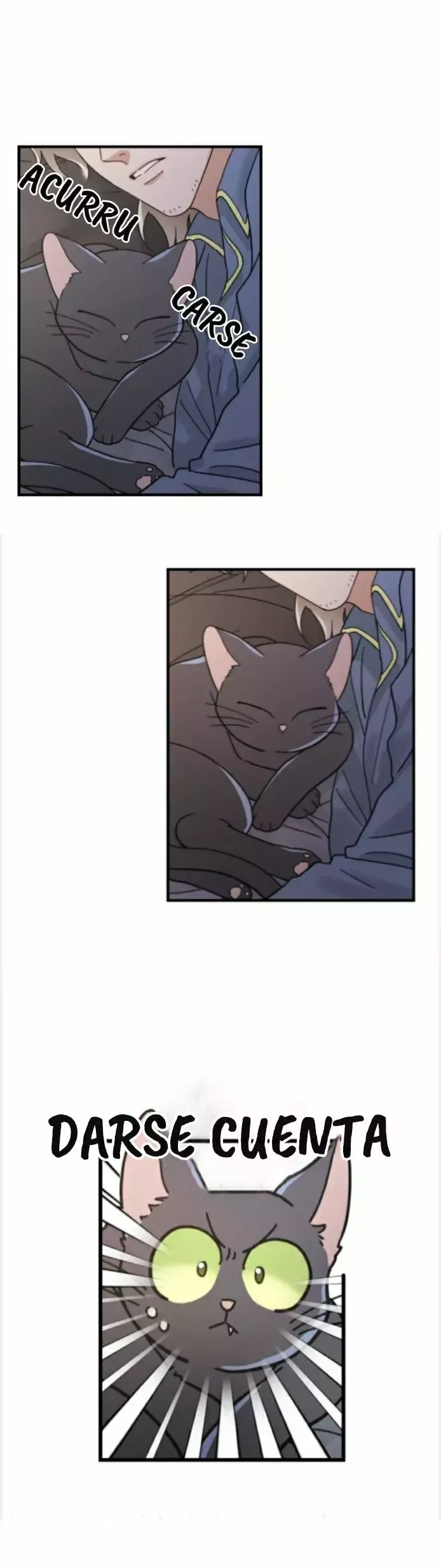Mi único gato Capítulo 32 en Línea - página 5