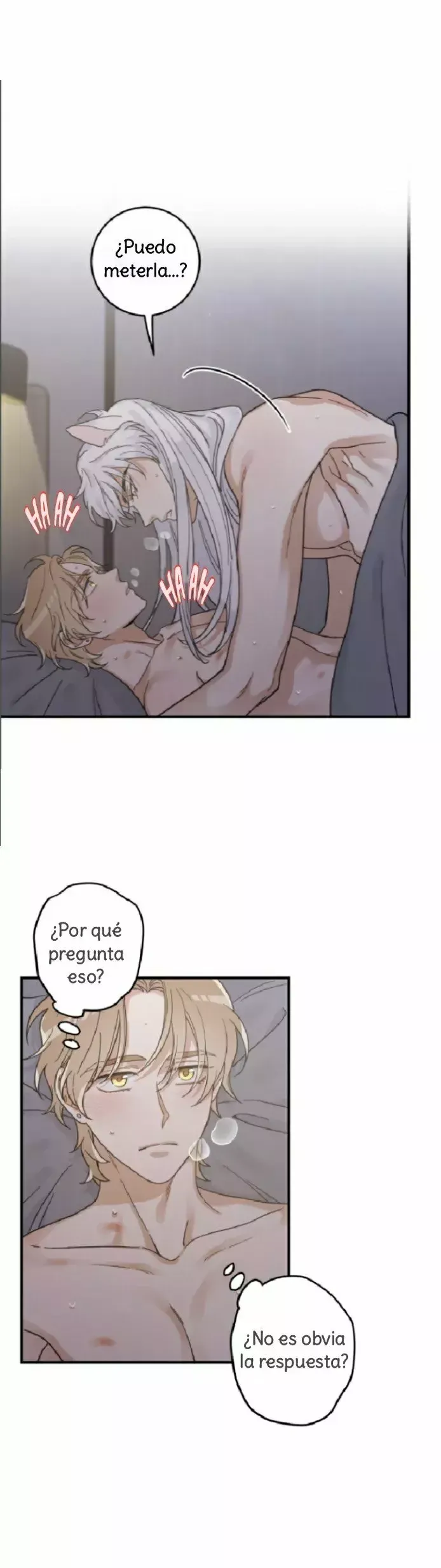 Mi único gato Capítulo 32 en Línea - página 24