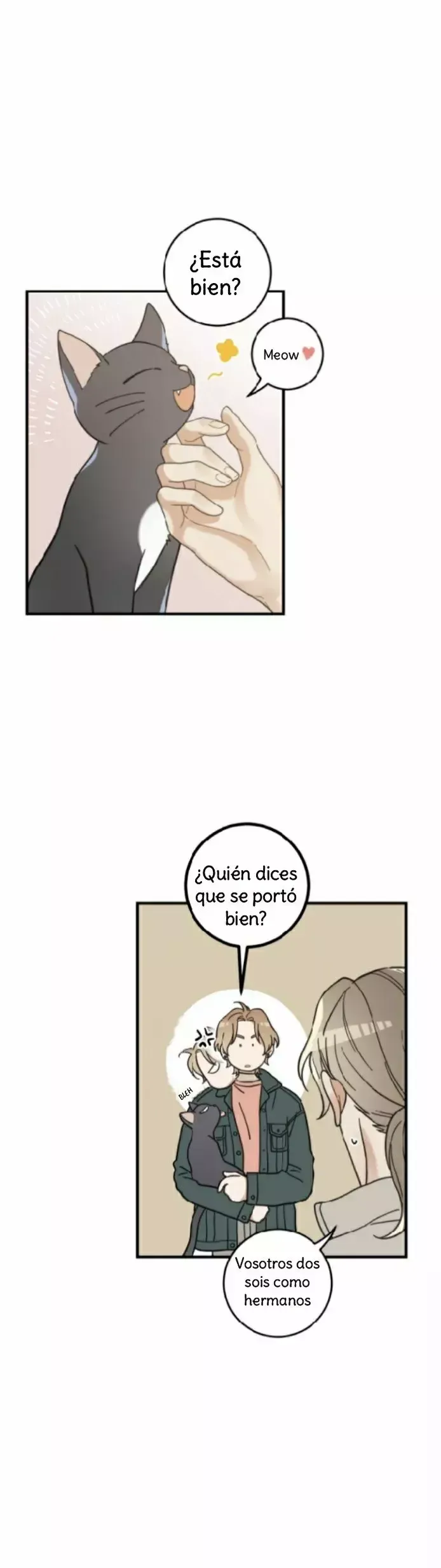 Mi único gato Capítulo 33 en Línea - página 13