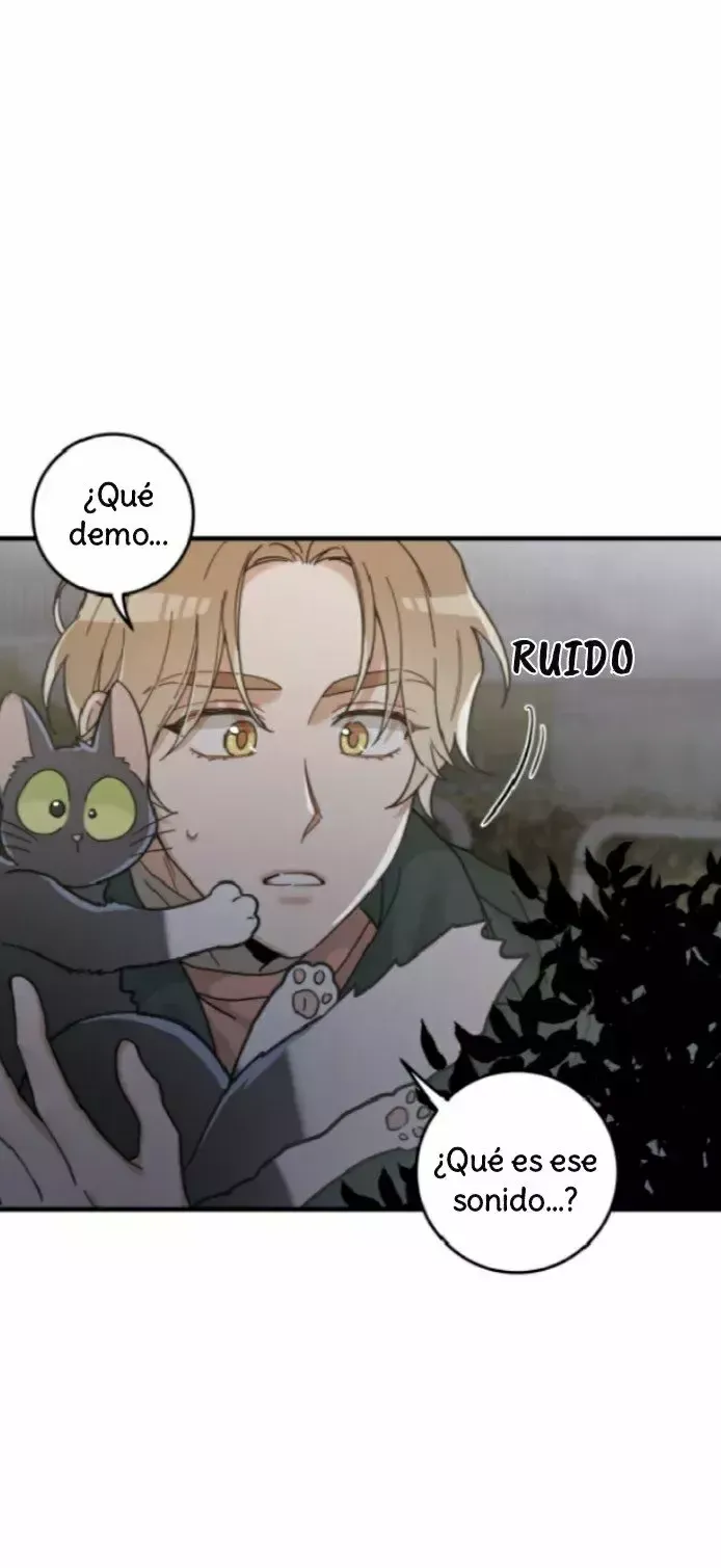 Mi único gato Capítulo 33 en Línea - página 19
