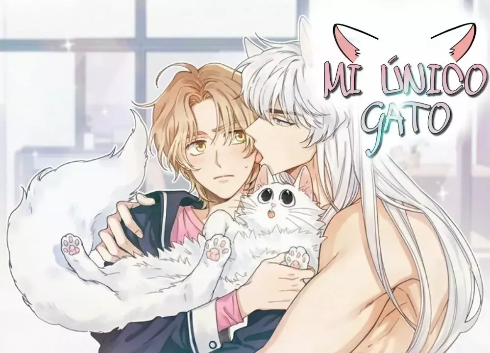 Mi único gato Capítulo 34 en Línea - página 1