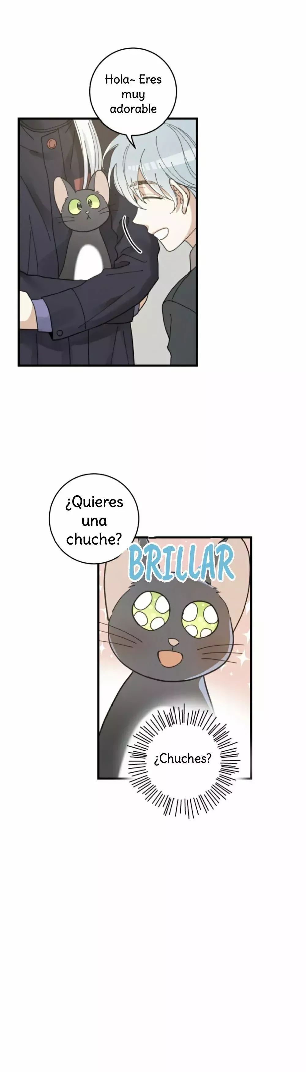 Mi único gato Capítulo 34 en Línea - página 17