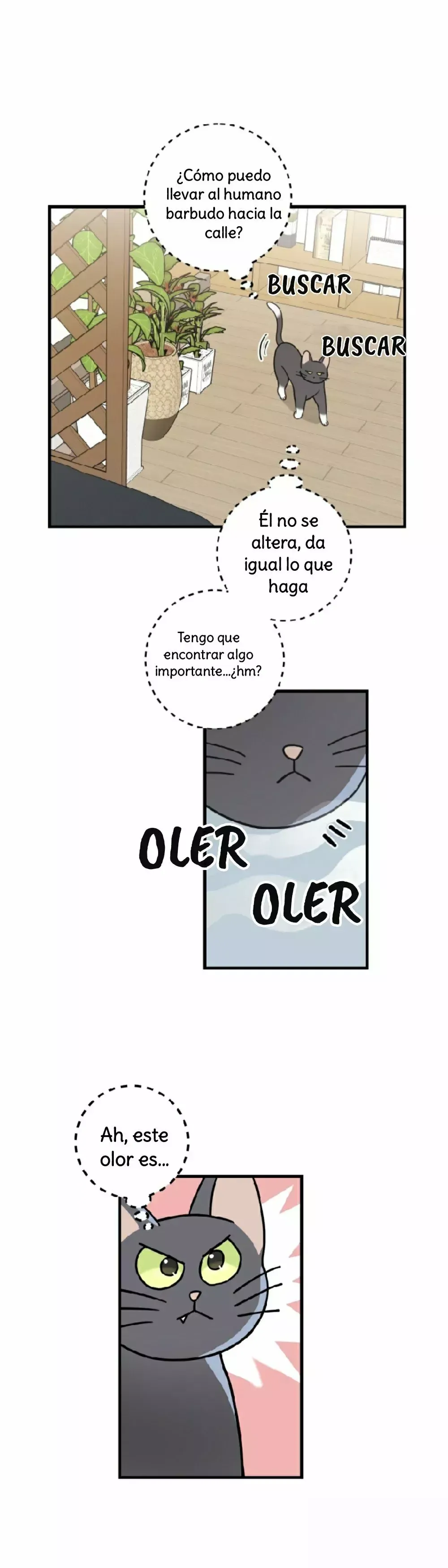 Mi único gato Capítulo 34 en Línea - página 25