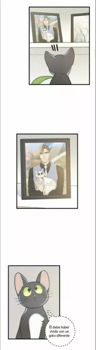 Mi único gato Capítulo 34 en Línea - página 27
