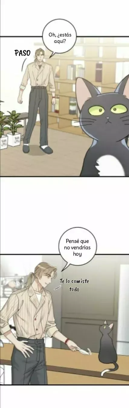 Mi único gato Capítulo 34 en Línea - página 28