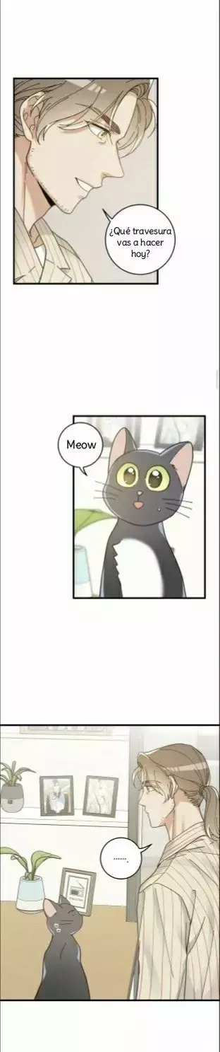 Mi único gato Capítulo 34 en Línea - página 29