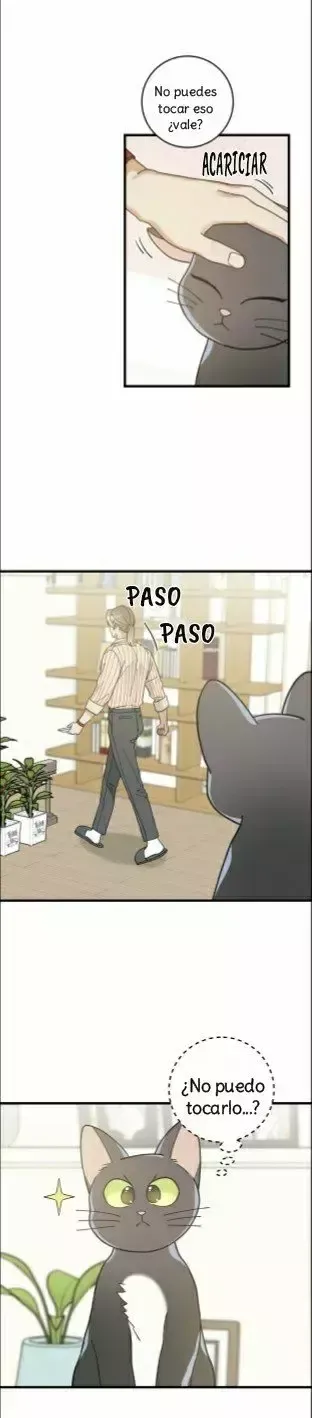 Mi único gato Capítulo 34 en Línea - página 30