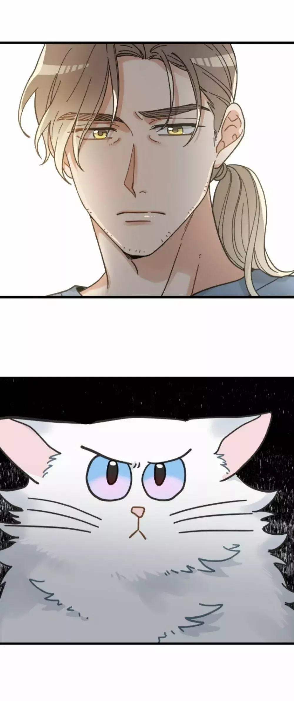 Mi único gato Capítulo 37 en Línea - página 32