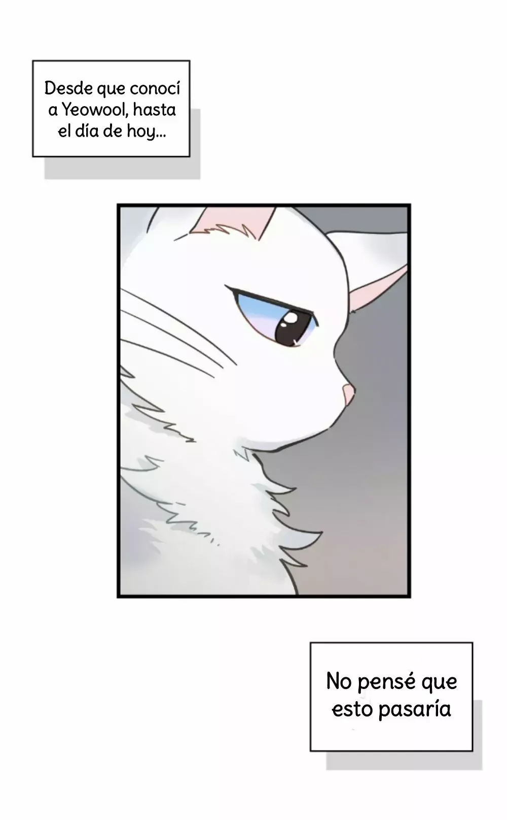 Mi único gato Capítulo 38 en Línea - página 31
