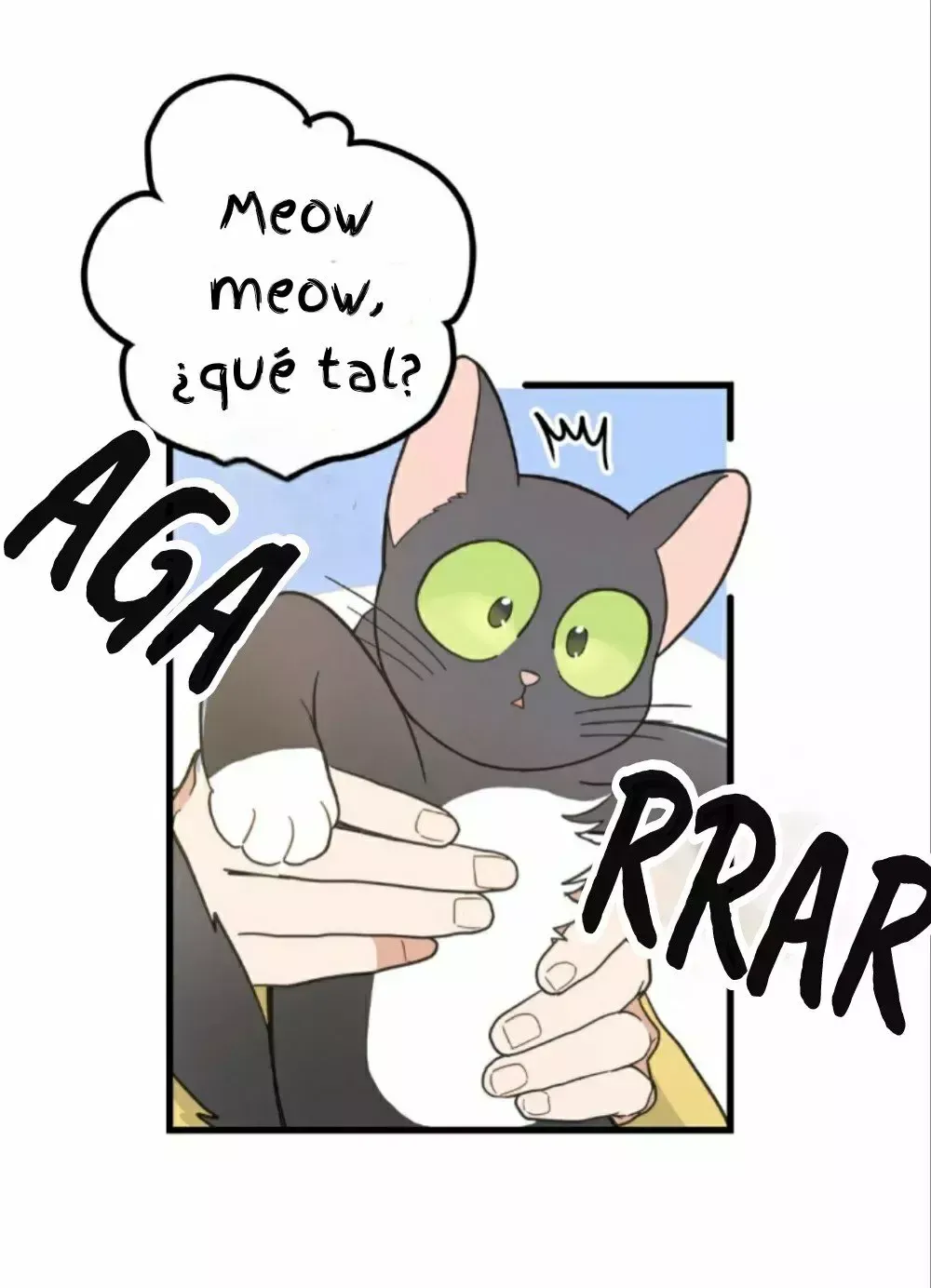 Mi único gato Capítulo 41 en Línea - página 23