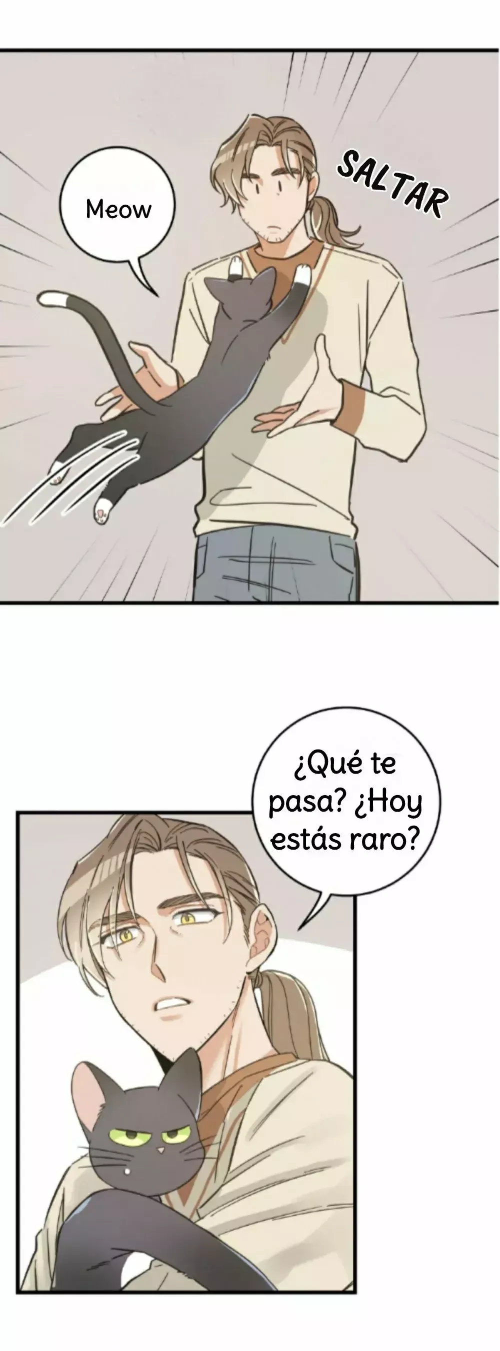 Mi único gato Capítulo 41 en Línea - página 25