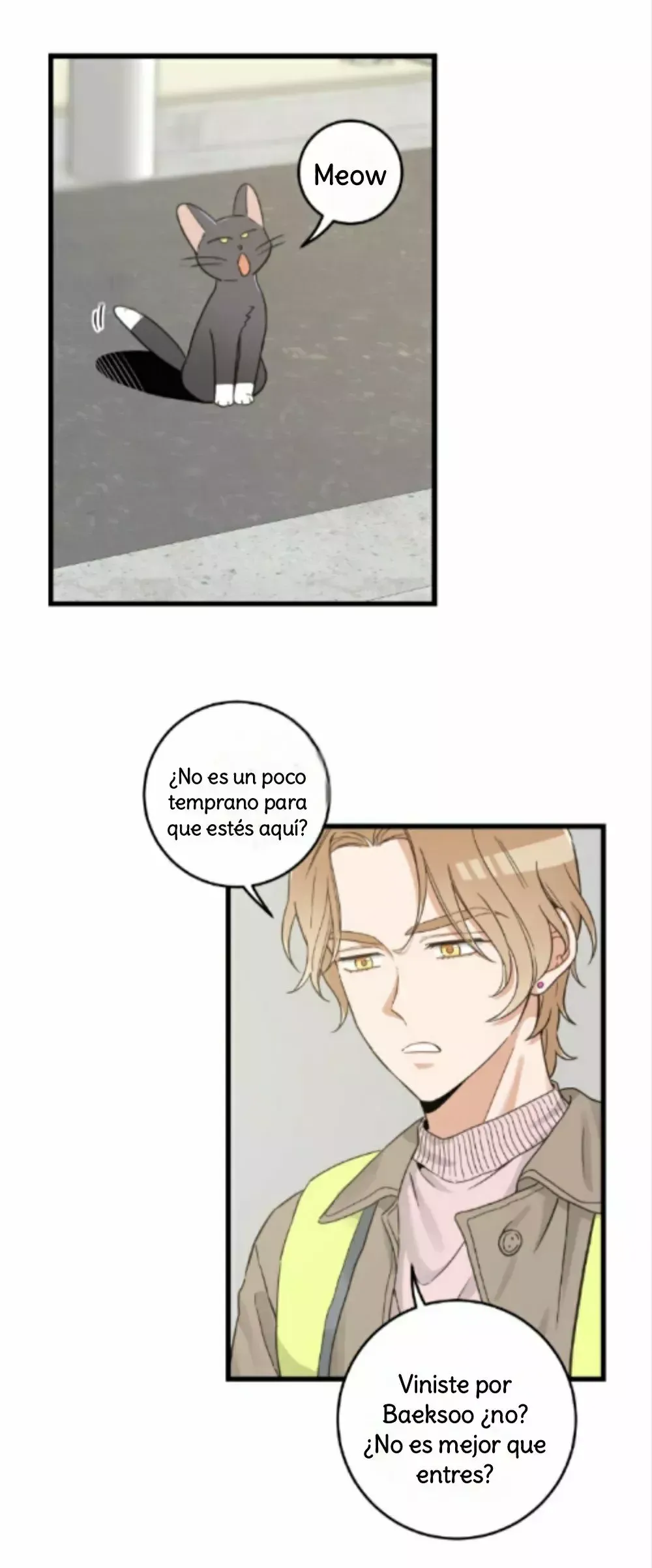 Mi único gato Capítulo 42 en Línea - página 5